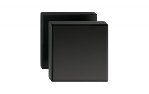 Rankena CORONA Aegis Q