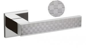 Rankena OLIVARI Diana Damier M1DDB