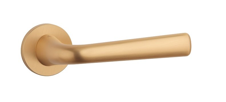 Rankena APRILE Tulipa R7S AS - Image 5