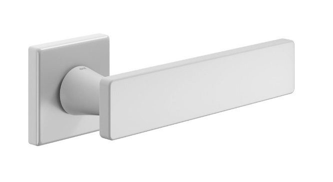 Rankena DND Holly - Image 2