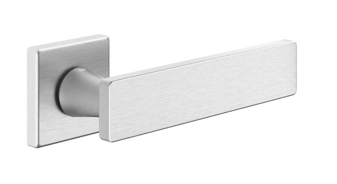 Rankena DND Holly - Image 3